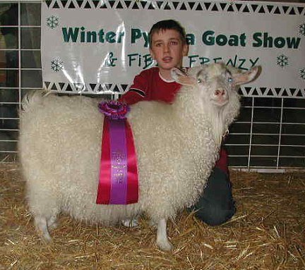 Photo of 2002 Grand Champion Pygora Doe
